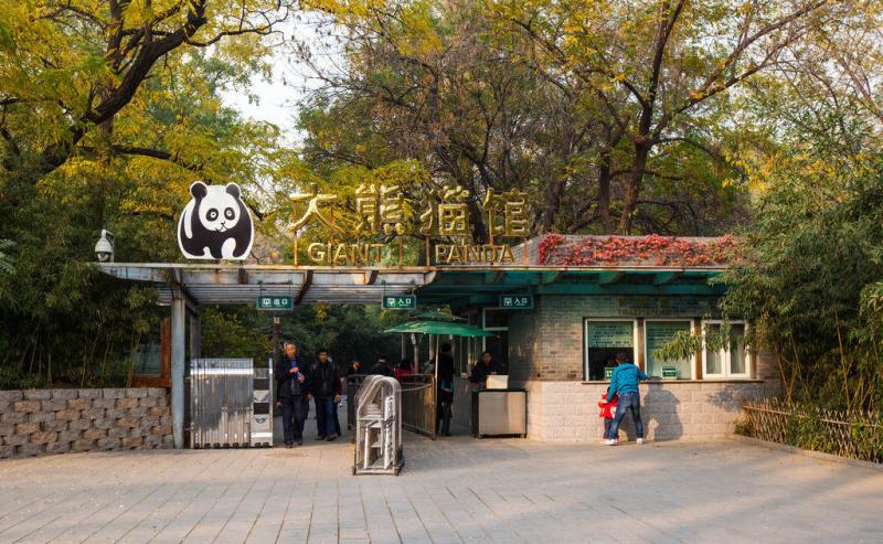 Giant Panda Center of Beijing Zoo