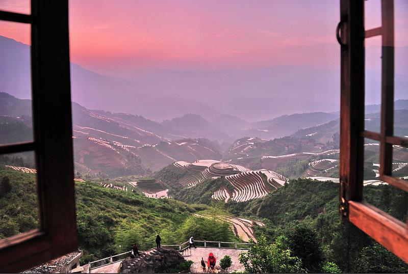 The spectacular terraced fields in Longji