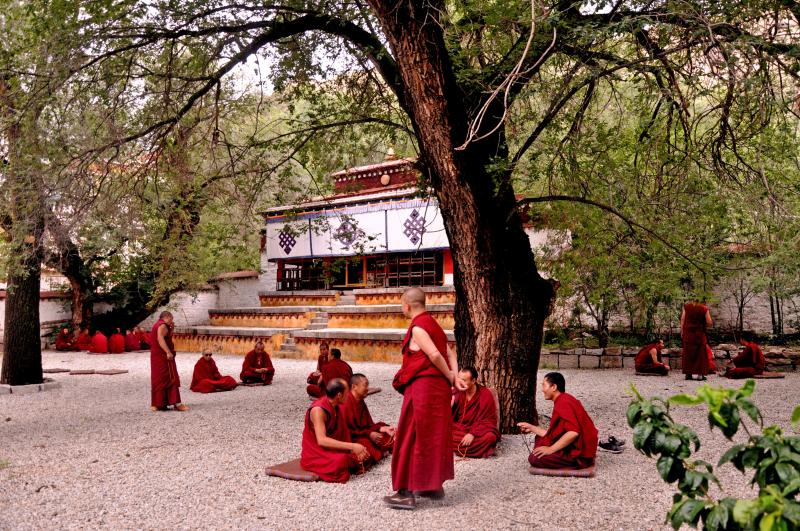 Debate Buddhist scriptures in Sera Monastery