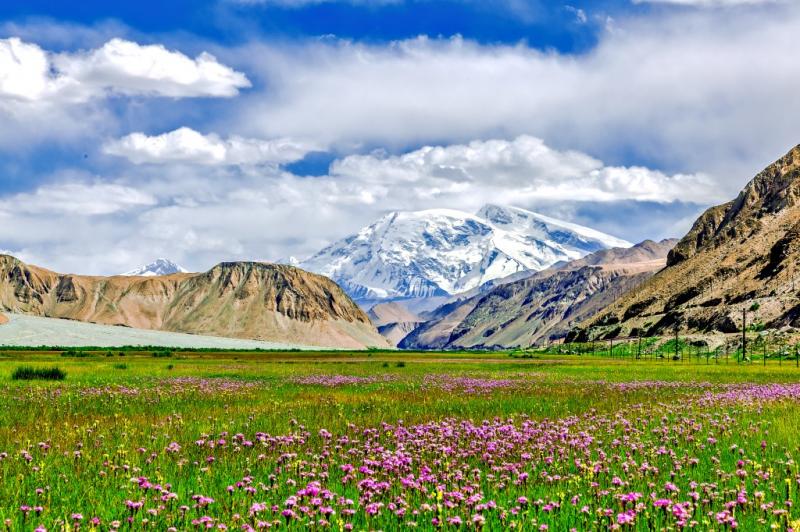 The Pamirs in Spring Time