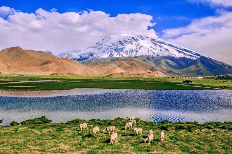 The Pamirs in Spring